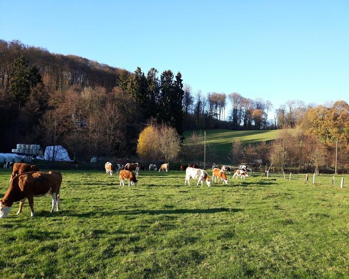 Zur Quelle der Strunde